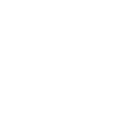 Caruna logo 400x400 white