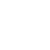 FINSMES
